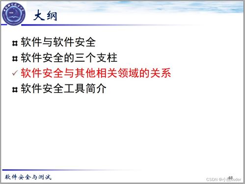 2024年網(wǎng)絡(luò)安全 軟件安全基礎(chǔ)、架構(gòu)組件與安全開(kāi)發(fā)詳解
