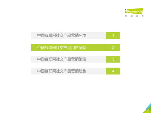 2019年中國(guó)互聯(lián)網(wǎng)社交企業(yè)營(yíng)銷(xiāo)策略白皮書(shū) 連接、互動(dòng)與轉(zhuǎn)化